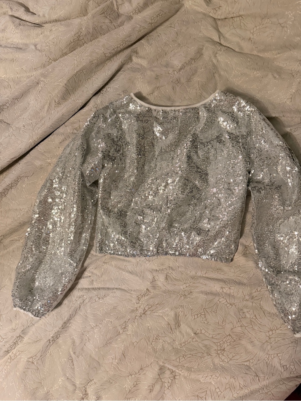 Silver Sequin Long Sleeve Crop Top